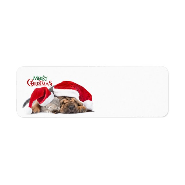 Frohe Weihnachtskatze und Hund (Vorne)