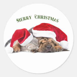 Frohe Weihnachtskatze und Hund Runder Aufkleber