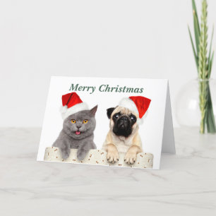 Frohe Weihnachtskatze und Mops Hund Feiertagskarte