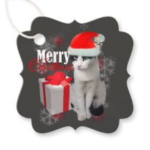 Frohe Weihnachtskatze und -pack
