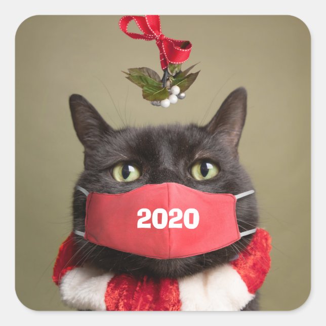 Frohe Weihnachtskatze unter Mistletoe im Gesicht M Quadratischer Aufkleber (Vorderseite)