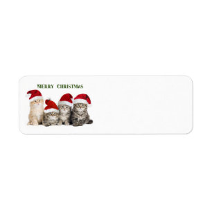 Frohe Weihnachtskatzen