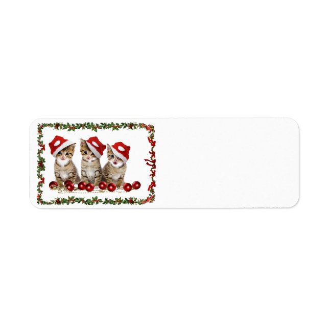 Frohe Weihnachtskatzen (Vorne)
