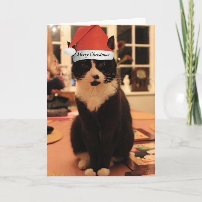 Frohe Weihnachtskatzkarte Feiertagskarte (Vorderseite)