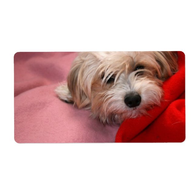 Frohe Weihnachtsmarken (Vorne)