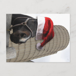 Frohe Weihnachtspferde mit Weihnachtsmannmütze Feiertagspostkarte
