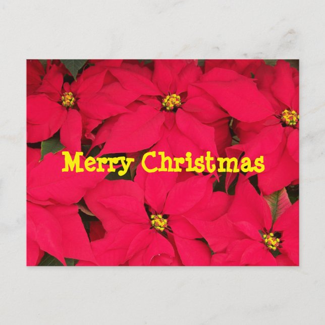 Frohe Weihnachtspostkarte Feiertagspostkarte (Vorderseite)
