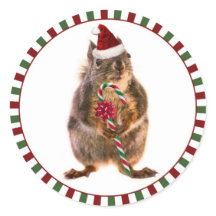 Frohe Weihnachtsquirrel Stickers