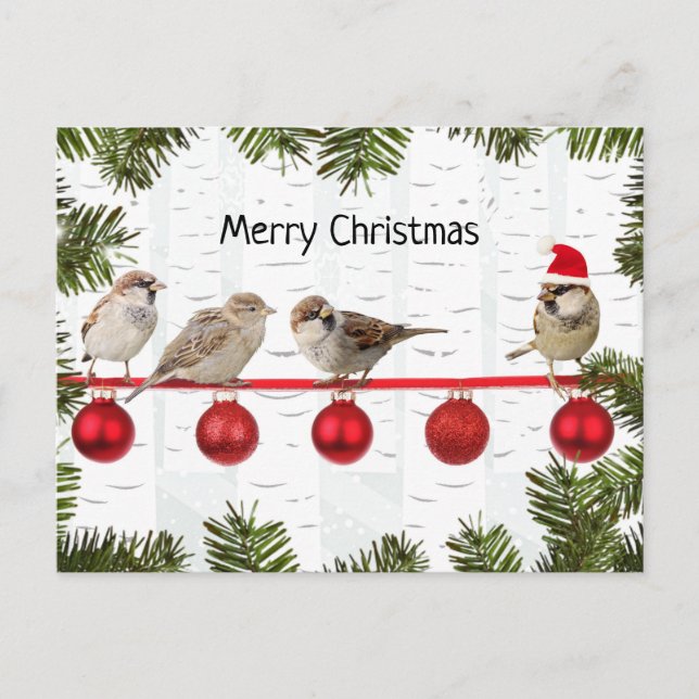 Frohe Weihnachtsvögel auf einem Limb Feiertagspostkarte (Vorderseite)