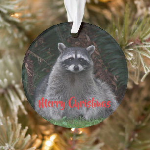 Frohe Weihnachtswald Raccoon Ornament