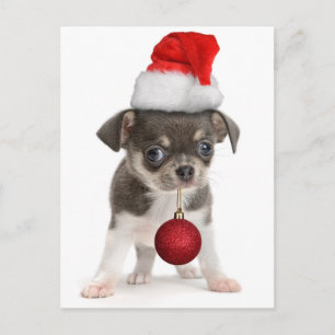 Frohe Weihnachtswelpe Feiertagspostkarte