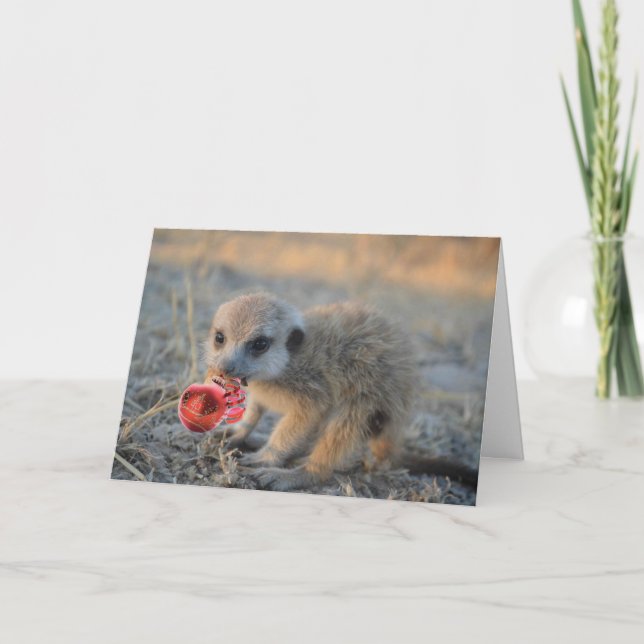 Frohe wenig Meerkat Weihnachten - Gruß-Karte (Vorderseite)