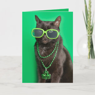 Frohen St. Patrick's Day Katzen in grünem Humor  Feiertagskarte