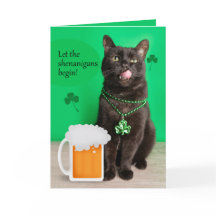Frohen St. Patrick's Day Lustige Katze mit Bier