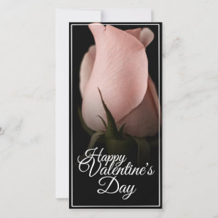 Frohen Valentinstag mit rosa Rose