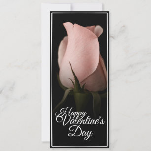 Frohen Valentinstag mit rosa Rose