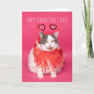 Frohen Valentinstag Warmer und Flauschiger Kater Feiertagskarte