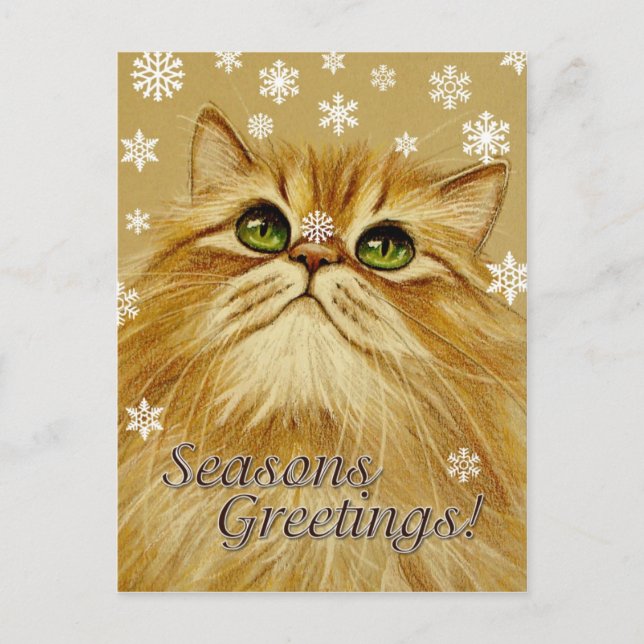 Froher Festtage Cat & Snow - Postkarte (Vorderseite)