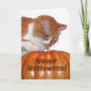 Frohes Halloween Süße Katze mit Kürbis Karte