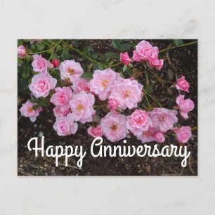 Frohes Jubiläum Jeanne LaJoie Rose #1 Postkarte
