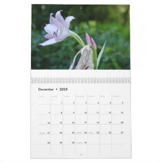 Frohes neues Jahr Kalenderjahr 2025 Kalender