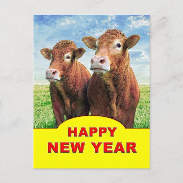 Frohes neues Jahr von den Kuhjungen Postkarte (Vorderseite)