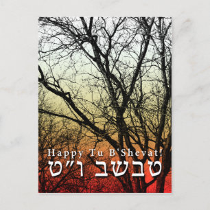 Frohes Tu B’Shevat! : Jüdischer Arbor Day Postkarte
