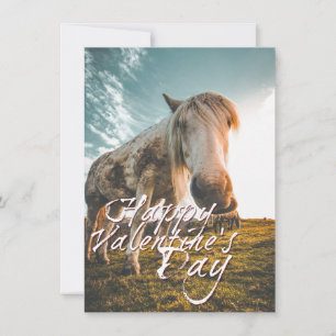 Frohes Valentinstag mit Blick auf das Pferd