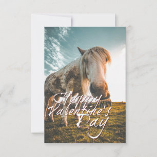 Frohes Valentinstag mit Blick auf das Pferd