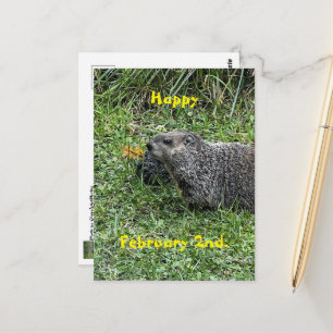 Fröhliche 2. Februar Custom-Groundhog-Postkarten Postkarte