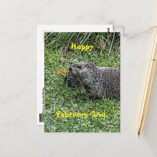 Fröhliche 2. Februar Custom-Groundhog-Postkarten Postkarte (Vorderseite/Rückseite Beispiel)