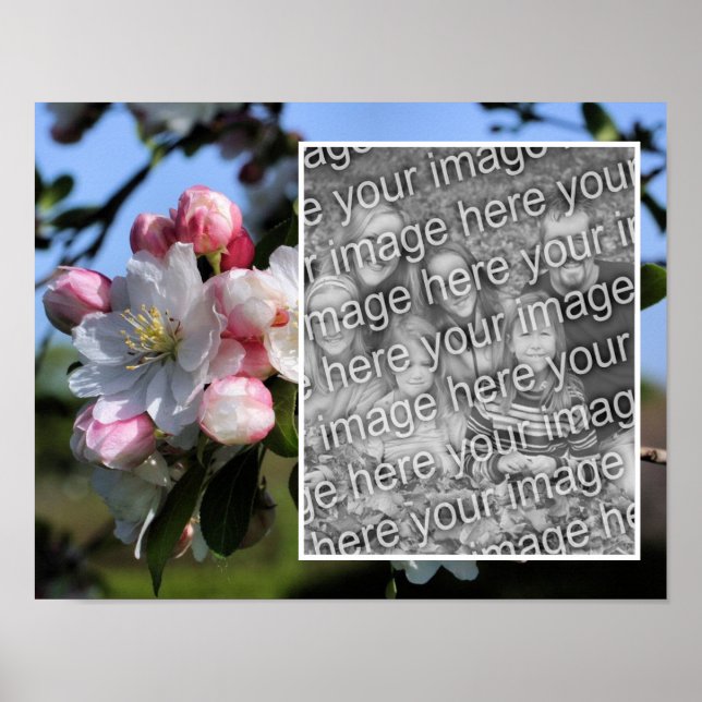 Fröhliche Frühlingserblüten tragen Ihr Foto hinzu Poster (Vorne)