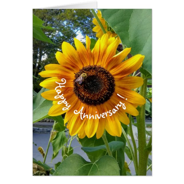 Fröhliche Gelbblüte zum Geburtstag der Biene (Vorne)