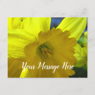 Fröhliche Gelbe Daffodil Macro Frühlingsblumen Postkarte