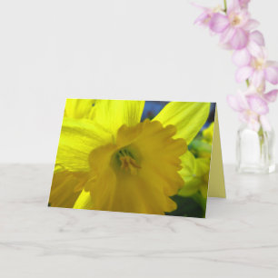 Fröhliche Gelbe Daffodil Narzisse Frühlingsblumen  Karte