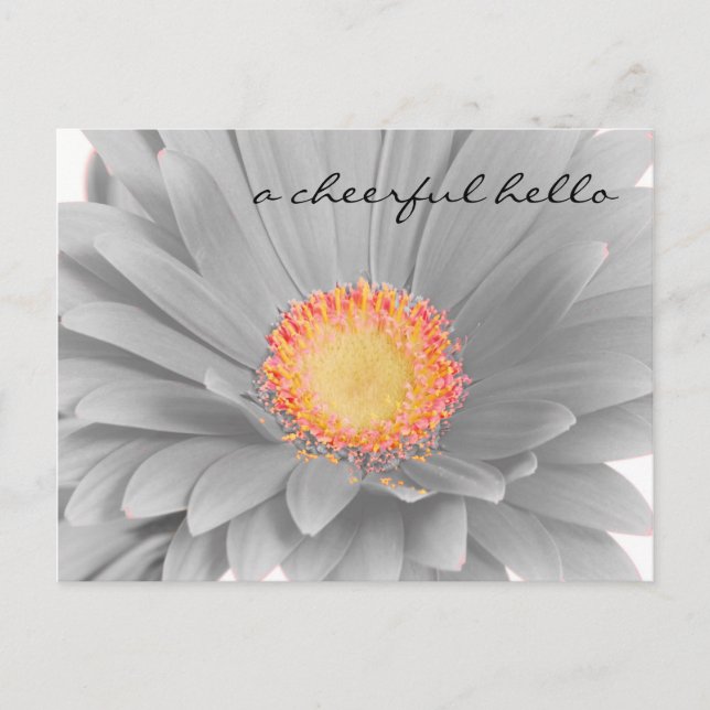 fröhliche "Hello Post Card" Postkarte (Vorderseite)