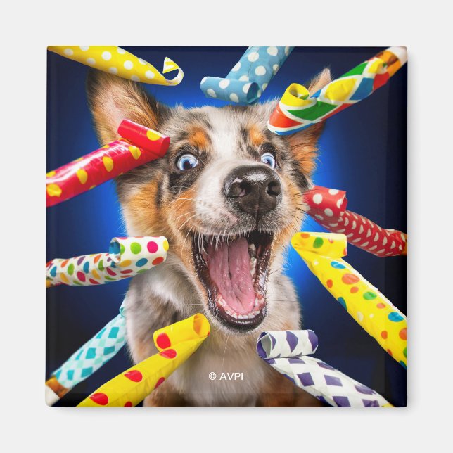 Fröhliche Hundeparty-Tutgeräte Magnet (Vorne)