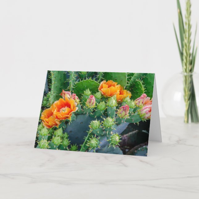 Fröhliche Kakteen-Blume Gruß Karte (Vorderseite)