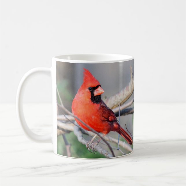 Fröhliche Kardinal Foto Tasse (Links)