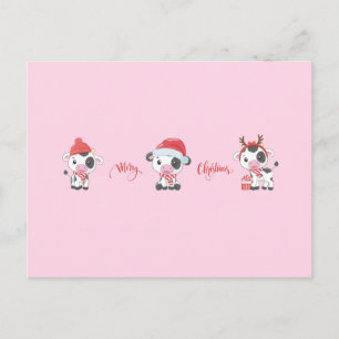 Fröhliche Kühe (Babykühe) Weihnachten