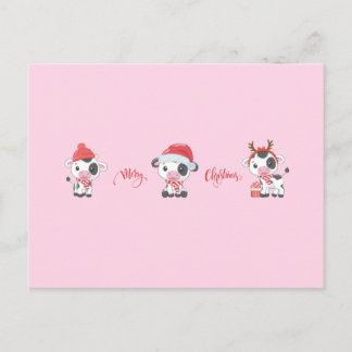 Fröhliche Kühe (Babykühe) Weihnachten