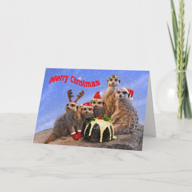 Fröhliche Meerkats Weihnachtskarte Feiertagskarte (Vorderseite)