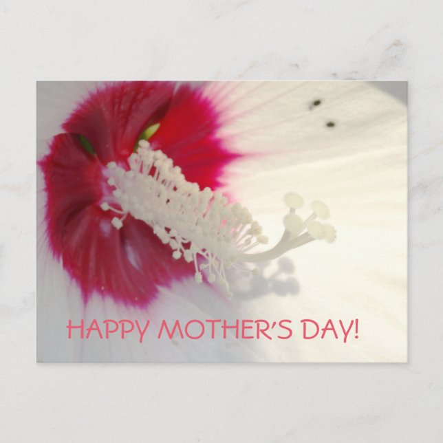 Fröhliche Muttertag florale Postkarte (Vorderseite)