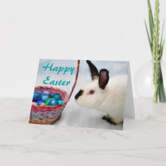 Fröhliche Ostern                       … Feiertagskarte