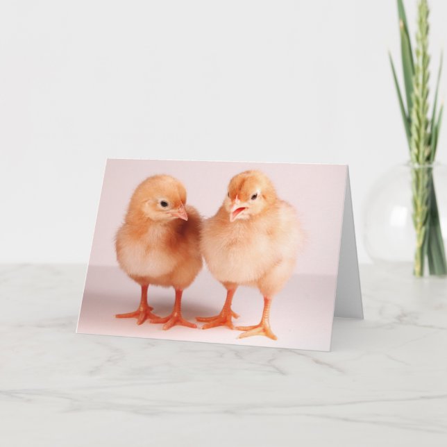 Fröhliche Ostern! Feiertagskarte (Vorderseite)