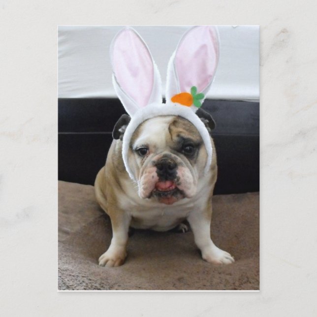 Fröhliche Ostern Feiertagspostkarte (Vorderseite)