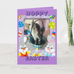 Fröhliche Ostern für einen Katzenliebhaber Feiertagskarte