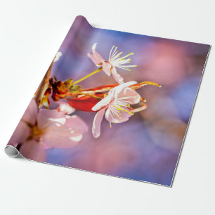 Fröhliche Sakura-Blume Geschenkpapier