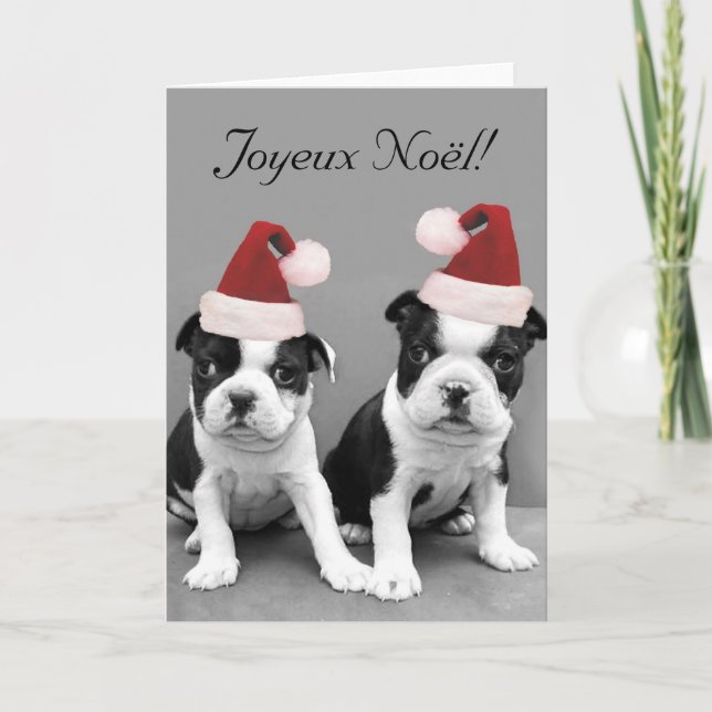 Fröhliche Weihnachten Boston Terriers greeting car (Vorderseite)