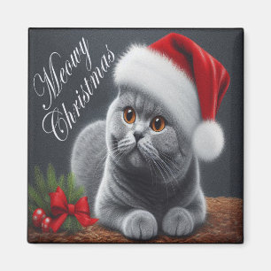 Fröhliche Weihnachten Britisch Kurzhaar Weihnachts Magnet